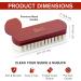 Stone and Clark Horse Hair Shoe Brush - Premium Quality Leather Polish Brush with Horse Hair Bristles - Beech Wood Handle - Ideal for Suede and Crepe Shoes - Buy Online on SooperMarket.com