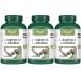 VORST L-Arginine & L-Citrulline Supplement 3 x 180 Vegan Capsules | Muscle Protein Synthesis | Amino Acids Complex | Max Strength | 3 Bottles