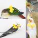 DKDDSSS 2 PCS Bird Harness Pet Parrot Leash Training Supplies Parrot Harness Leash Outdoor Adjustable for Cockatiel Mynah Monk Parakeet Macaw (Blue and Yellow) - Buy Online on SooperMarket.com