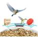 Netvue Multifunction Bird House Stand & Feeder | Versatile Bird Feeding Station for Wild Birds - Ideal for Potions Fruits & Vegetables - Buy Online on SooperMarket.com