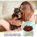 3 PCS Raised Cat Bowl Elevated Cat Feeding Bowls with Stand Tilted Pet Dog Cat Bowl Anti-Tipping Anti Vomit Cat Food Bowl Feeding Water Bowl Cat Dishes 15 Tilted Raised Cat Feeder - Buy Online on SooperMarket.com
