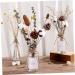 Cabilock Natural Dried Flowers 30 Pcs Natural Artificial Flower Decorative Artificial Flower As Shownx2pcs mediumx2pcs - Buy Online on SooperMarket.com