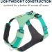 Ruffwear Hi & Light Dog Harness - No Pull Fully Adjustable Lightweight Sage Green (XS 43-56cm) | International Shipping - Buy Online on SooperMarket.com