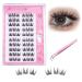 Dorolab Lashes Dorolab Eyelashes Dorolab Eye Lash Dorolab Glue-Free False Eyelashes Dorolab Glue Free Eyelashes Dorolab No Glue Lashes Dorolab Reusable Glue-Free False Eyelashes(XTM)
