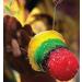 Syrup for Ice Cone Mixed Popular Flavour Syrups can be used with All Slush| Slushie Machines tangy Apple Cola Cherry Each 250 ml (Pack of 3) - Buy Online on SooperMarket.com