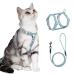 Petom flower pattern cat dishes with a leash cat line with dishes for cats for cats with a round lanyard Breaking -proof adjustable chest strap Suitable for small and medium -sized cats M light green