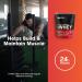 Optimum Nutrition Gold Standard 100% Whey Protein Powder 670g - Double Rich Chocolate - 22 servings (packaging may vary) Chocolate 22 Servings (Pack of 1) - Buy Online on SooperMarket.com