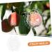 Gogogmee Shaped Fruit Shaper Reusable Forming Novel Shaping Ginseng Vegetable - Buy Online on SooperMarket.com