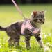 Brifit Cat Harness and Lead Set | Soft Mesh Adjustable Reflective Vest for Small Cats | Escape-Proof Kitten Harness with Leash | Pink XXS - Buy Online on SooperMarket.com
