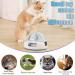 Suhaco 3-in-1 Interactive Cat Toy Set with Feather Wand, Catnip Ball, and Bell Track Toy - Self Play Fun for Indoor Cats - Blue - Buy Online on SooperMarket.com