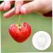 SUPVOX 10 Pcs Fruit Shaping Mold Vegetables Fruit Growth Forming Mould Tool Fruit Moulding Mold Watermelon 4.5x4cmx2pcs Whitex2pcs - Buy Online on SooperMarket.com