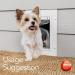 Plastic Vinyl Strip for DIY Dog or Cat Door - Doggie Door Replacement Strips | Pet Products 8' x 8 - Buy Online on SooperMarket.com
