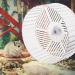 Gerbil Pig Wheel 12 Inch Silent Hamster Wheel | 26.5X23cm | Quiet Exercise Wheel - Buy Online on SooperMarket.com