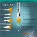 Aqualon 243921 Filbert Brush Set - 7 Pack - Buy Online on SooperMarket.com