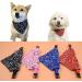 Shop Taozoey 3PCs Dog Neckerchief & Bandana - Stylish Accessories for Small & Medium Dogs & Cats - Buy Online on SooperMarket.com