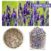Buy 100% Pure Natural Dried Lavender Tea - Premium Lavender Buds 50g for Baking & Baths - Buy Online on SooperMarket.com