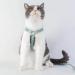 Buy Petom Flower Pattern Cat Dishes & Adjustable Leash - Perfect for Small & Medium Cats - Break-Proof Design - Light Green - Buy Online on SooperMarket.com