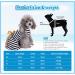 Elegant Petcute Dog Dress - Summer Tutu for Little Dogs with Bowknot & Flower Design | XS Black & White Stripes - Buy Online on SooperMarket.com