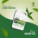 Nature's Will Pure Organic Neem Oil for Indoor and Outdoor Plants and Vegetable - 32 Fl Oz. - Buy Online on SooperMarket.com