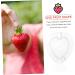Kisangel 10 Pcs Fruit Shaping Mold Vegetables Vegetable Growth Shaper Garden Shaping Molds Watermelon 4.5x4cmx2pcs Whitex2pcs - Buy Online on SooperMarket.com