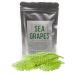 Umibudo Sea Grapes - Delicious Green Caviar Seaweed - Dehydrated Seagrapes in Brine, Net weight: 1.76oz/50g - makes 1/2 pound once soaked