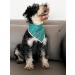 Lionet Paws Thanksgiving Bandana for Dogs - Triangular Headscarf & Towel for Small Medium & Large Dogs - 1 Pack Turkey Design - Buy Online on SooperMarket.com