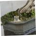 BESPORTBLE 3pcs Pet Water Feeder Small Ants Feeder Ants Water Feeding Ants Farm Accessory Insect Feeder Plastic - Buy Online on SooperMarket.com