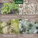 AniForte Bronchial Herbs for Horses 1kg - Natural Respiratory Support with Methylcysteine | Cough Relief & Healthy Airways - Buy Online on SooperMarket.com