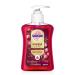 Sagrotan Hand Soap Cranberry Limited Edition 6 x 250 ml liquid soap in a soap dispenser in a practical value pack