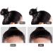Hairline Powder Hairline Shadow Pressed Powder Instantly Conceals Alopecia White Hair Root Cover Temporary Hair Shading Powder for Thinning Bald Spots Windproof Sweatproof 12g Brown - Buy Online on SooperMarket.com