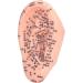 6.7 inch Silicone Ear Acupuncture Model - Ideal for Acupoint Learning & Home Care - Buy Online on SooperMarket.com