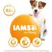 IAMS Complete Dry Dog Food for Adult 1+ Small and Medium Breeds with Chicken 12 kg Chicken 12 kg (Pack of 1) - Buy Online on SooperMarket.com