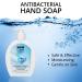 WBM Care Hand Soap - 16.8 fl oz Liquid Natural Ingredients Fresh Scent Effective Cleansing Eco-Friendly - International Shipping Available - Buy Online on SooperMarket.com