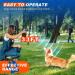 Anti Barking Device for Dogs Ultrasonic Dog Deterrent Control Sonic Bark Deterrents Stop Waterproof Mini Outdoor Deterrent Rechargeable 3 in 1 Bark Control Tool Frequency Levels Humanized and Safe - Buy Online on SooperMarket.com