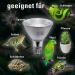 Buy Solar Raptor UV Halogen Spot 35W | Reptile Heat Lamp & Terrarium Light with Daylight Spectrum - International Shipping Available - Buy Online on SooperMarket.com
