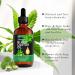 Jamaican Black Castor Oil 120ML Massage Oil for Aromatherapy 100% Pure Natural Cold Pressed Organic Castor Oil Stimulate Growth for Hair Eyelashes Eyebrows Skin Moisturizer & Hair Oil and Body Oil - Buy Online on SooperMarket.com