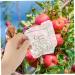 Kisangel 8 Pcs Square Apple Fruit and Vegetable Fruit Shaper Mould Cover - Buy Online on SooperMarket.com
