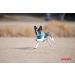Puppia Dog Harness for Small & Medium Dogs - Super Soft Multi-Color Also Functions as Puppy Dish - Atani Train Harness in Green XXL - Buy Online on SooperMarket.com