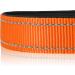 Joytale Reflective Dog Collar for Medium-Sized Dogs - Orange M | Durable & Stylish Pet Accessory - Buy Online on SooperMarket.com