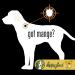 Happy Jack Sarcoptic Mange Medicine - 8 oz - Buy Online on SooperMarket.com