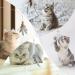MWOOT 6pcs Cat Feather Toys with Bells Feather Toys Spinning Attachment for Indoor Cats and Kitten Catcher Replacement Feather Refills with Bells Feather Cat Toys for Playing Catcher and Exercising - Buy Online on SooperMarket.com