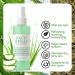 Facial Spray W/Aloe & Green Tea Hydrating Face Mist Moisturiser Aloe Vera Face Toner for Dry Skin Makeup Setting Spray for Face Soothing Face Spray Refresh & Repair 3.4 Fl Oz - Buy Online on SooperMarket.com