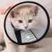 Adjustable Pet Cone Collar for Large Dogs | Lightweight Elizabethan Protective Collar (43.5-50CM) - Shop Now! - Buy Online on SooperMarket.com
