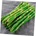 HOMSFOU 20 Pcs Simulated Asparagus Ornaments Pretend Play Food Fake Bamboos Food Faux Veggies Fake Food Model Asparagus Models Simulated Food Artificial Asparagus Model Pvc Vegetable Plant Light Greenx2pcs 19X0.9CMx2pcs - Buy Online on SooperMarket.com