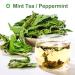 100% Organic Peppermint Tea - Health Benefits & Traditional Flavor - 30g | Global Shipping - Buy Online on SooperMarket.com
