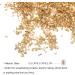 FRCOLOR 1 Glass Chip Irregular Glass Glitter Ornaments Glass Epoxy Resin Filler Nail Crystal Charms Crushed Crystal Chips Chunky Flakes Sequins Shiny Nail Glitter 3D Jewelry Self Made 0.5X0.3cm Golden - Buy Online on SooperMarket.com