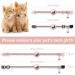 Lafayi 2 Pack Cat Collar with Bell & Reflective GPS Tracker | Personalized Pink Airtag Case & Safety Clasp | International Shipping Available - Buy Online on SooperMarket.com