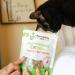 Shameless Pets Catnip N' Chill Crunchy Cat Treats Chicken/Catnip - 71 g Cat Treats - Buy Online on SooperMarket.com