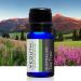 Yeouth Therapeutic Essential Oil Starter Pack - 6 x 10ml - Pure Aromatherapy - Buy Online on SooperMarket.com
