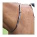 Shires Velociti (was Blenheim) Gara Leather Strap 447G Black Black 3/4X50 Black 3/4X50"